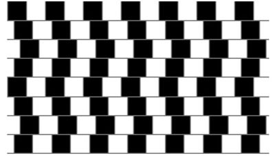 Optical Illusion of parallel lines in a grid