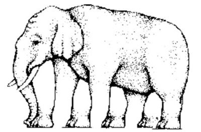 Optical illusion of an elephant with many legs