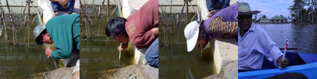 People using straw in dirty pond